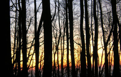 PICT0238.jpg
