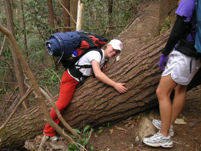 PICT0299.jpg