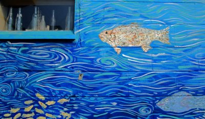 DSC_0048_edited-1.jpg