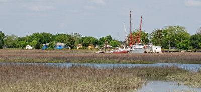 Backman's Seafood shrimpboats seen from Bowens Island