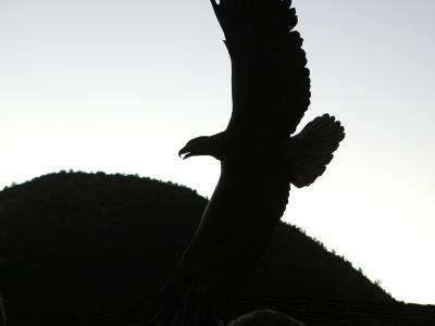 P9290039.JPG