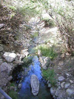 P9300017.JPG