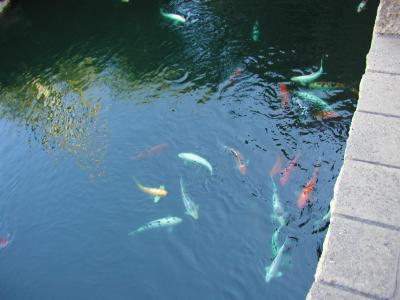 P9300023.JPG
