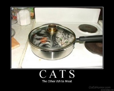 Cats the other white meat.jpg