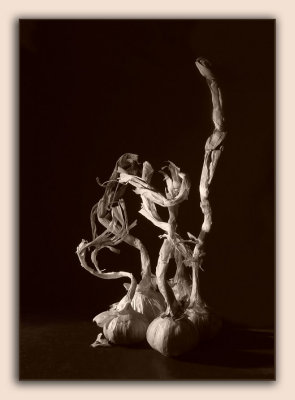Garlic (dance)