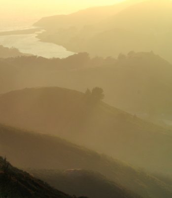 Seaside hills