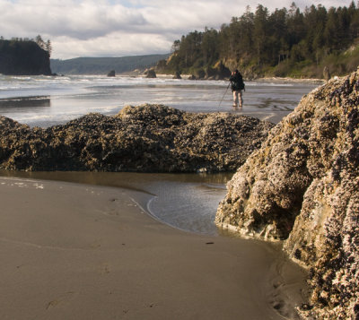 Ruby Beach