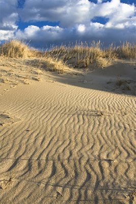 Light on the Dunes