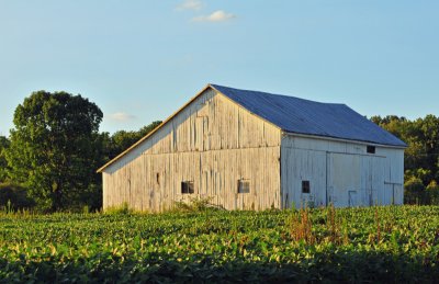 Barn with D300