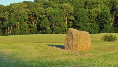 Hay Bale at Sunset