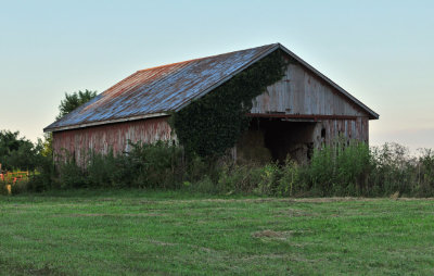 Barn with Overgrowth