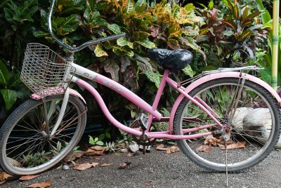 Pink bike, Puerto Jimenez