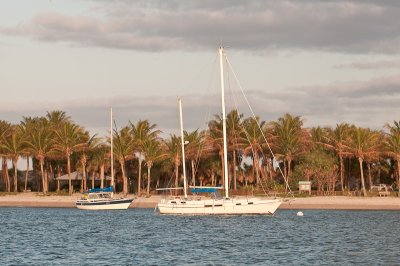 Sailboats at sunup