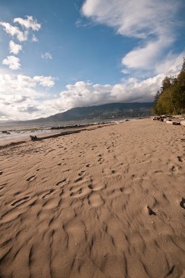 Windblown Sand