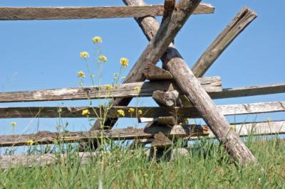 Picket fence