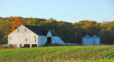 Farmstead in Autumn