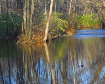 Creek in Fall