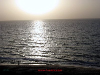 el hombreel perro y el mar 