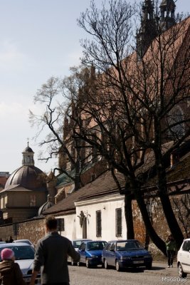 IMG_9973.jpg