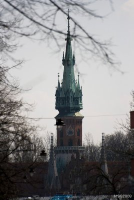 IMG_9985.jpg