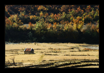 Small Village