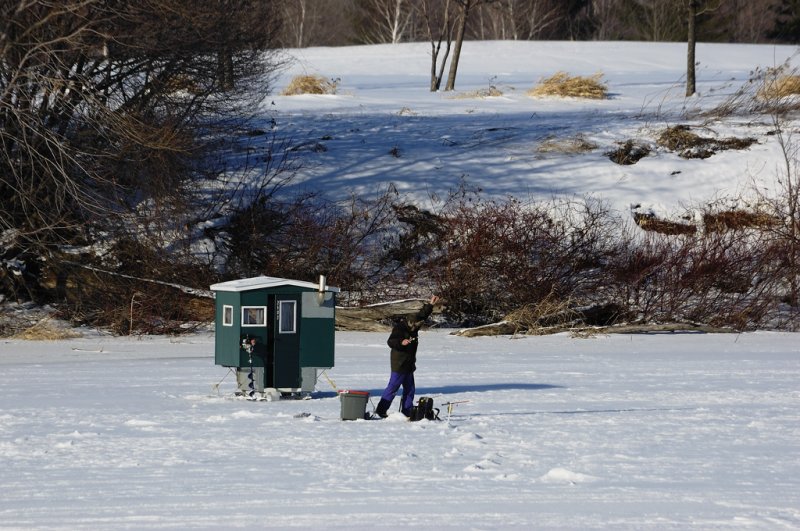 White fishing on the Saint-Laurence river