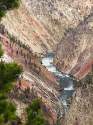 yellowstonecanyon.jpg