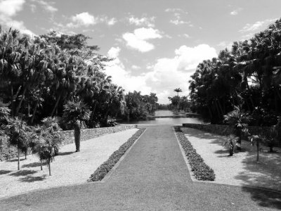 overlookdof2bw.jpg