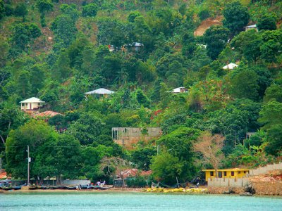 A Hillside View from the  Water