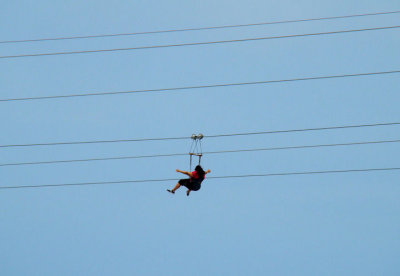 A Guest Riding the Wire