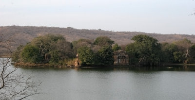 IMG_5470-Ranthambhore-12.2.jpg