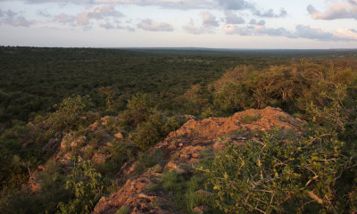 Near Hluhluwe