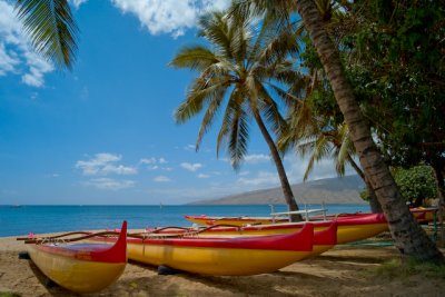 maui