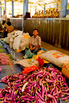 nadi market