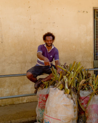 nadi market