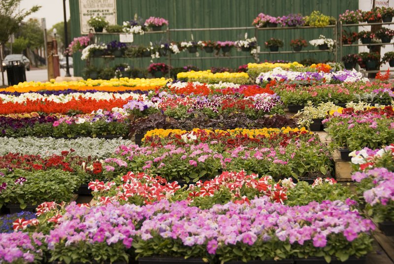 Laurel Flower Mart