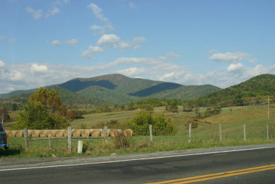 SHEN-Oct07 007