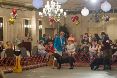 The Veterans Gala