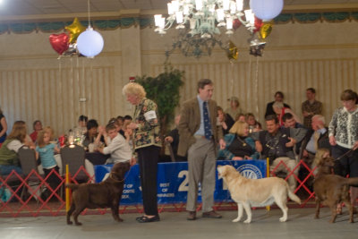 The Veterans Gala