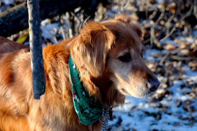 DSC_0312.JPG