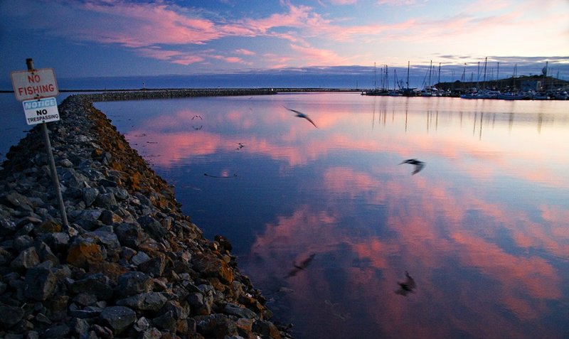 Pillar Point Harbour