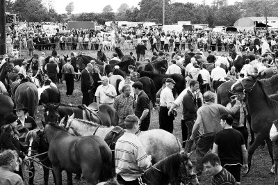 Horse-Fair, Spancil-Hill