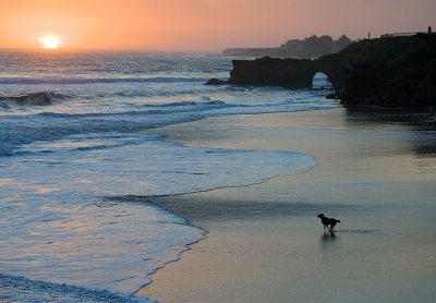 Pacific Sunset, Santa Cruz, CA