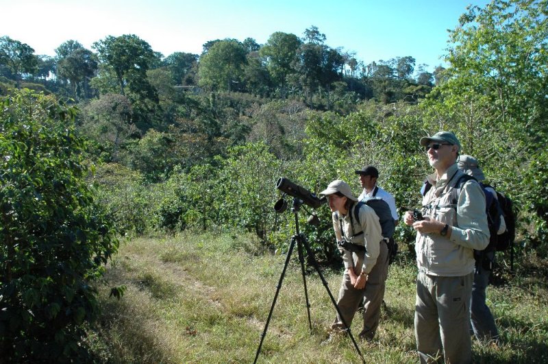 Finca Hartmann Birding