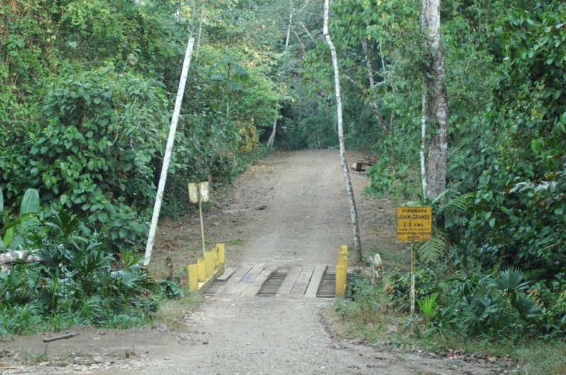 Pipeline Road Stream crossing