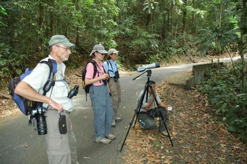 Birding on Semaphore Hill2