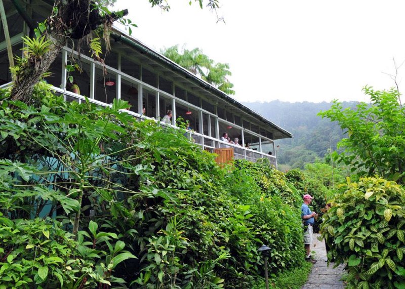 Asa Wright veranda1