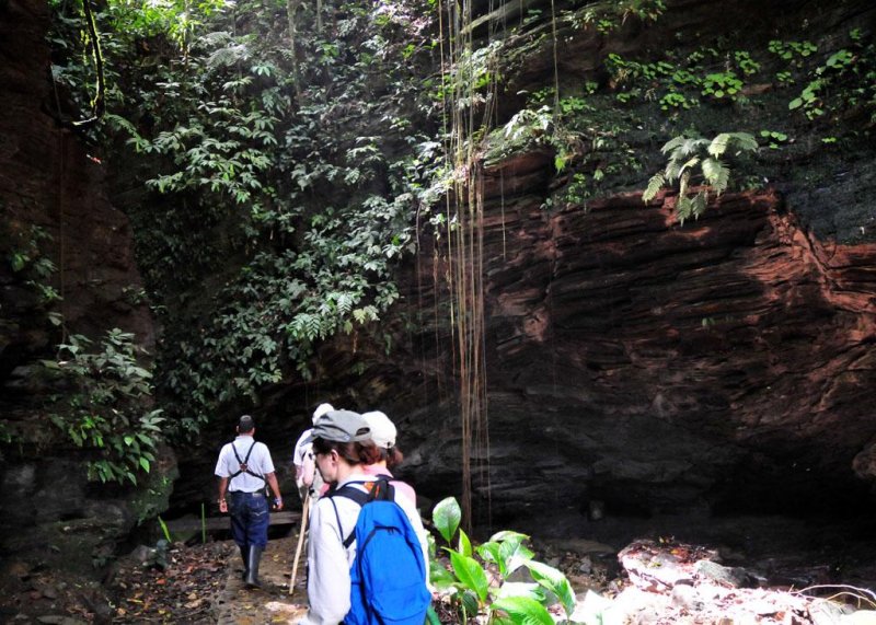 Oilbird cave