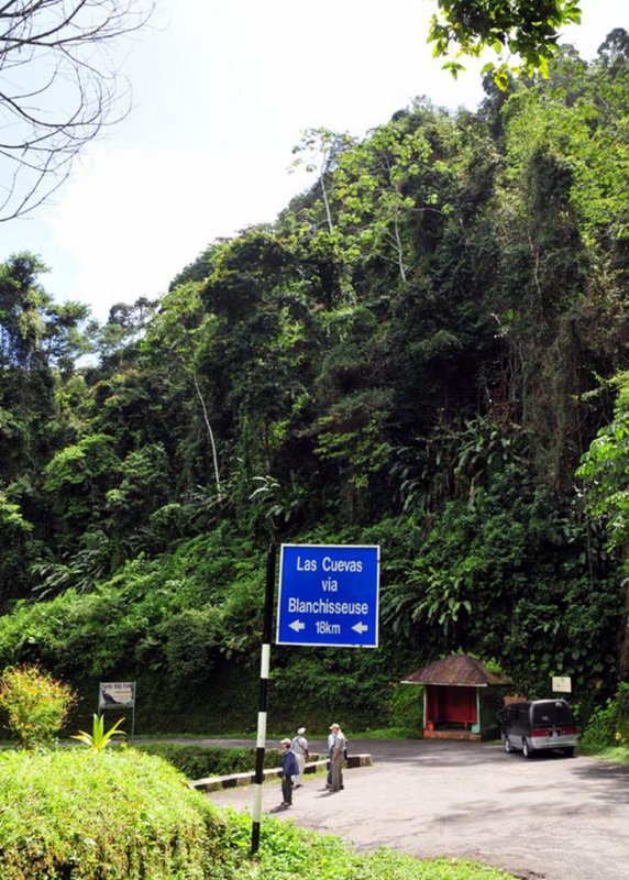 Blanchisseuse road birding2