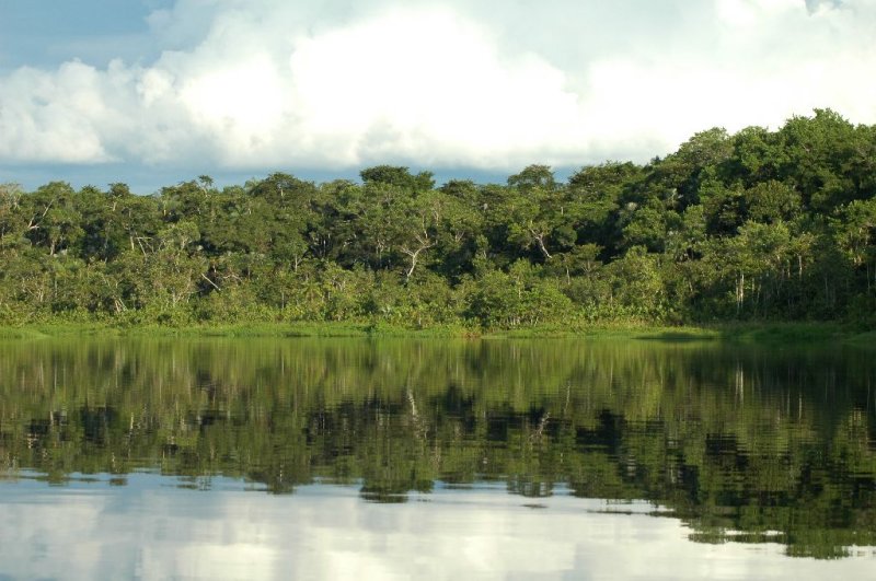 Lake edge